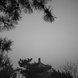 漫画改编派对游戏《姐妹俩2：成名之路》10月发售